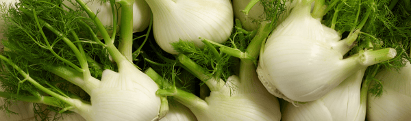 5VEGE-Fennel