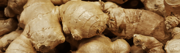 5EDIBLE-Ginger