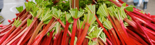 5FRUIT-Rhubarb