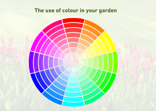 The use of colour in your garden