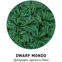Dwarf Mondo