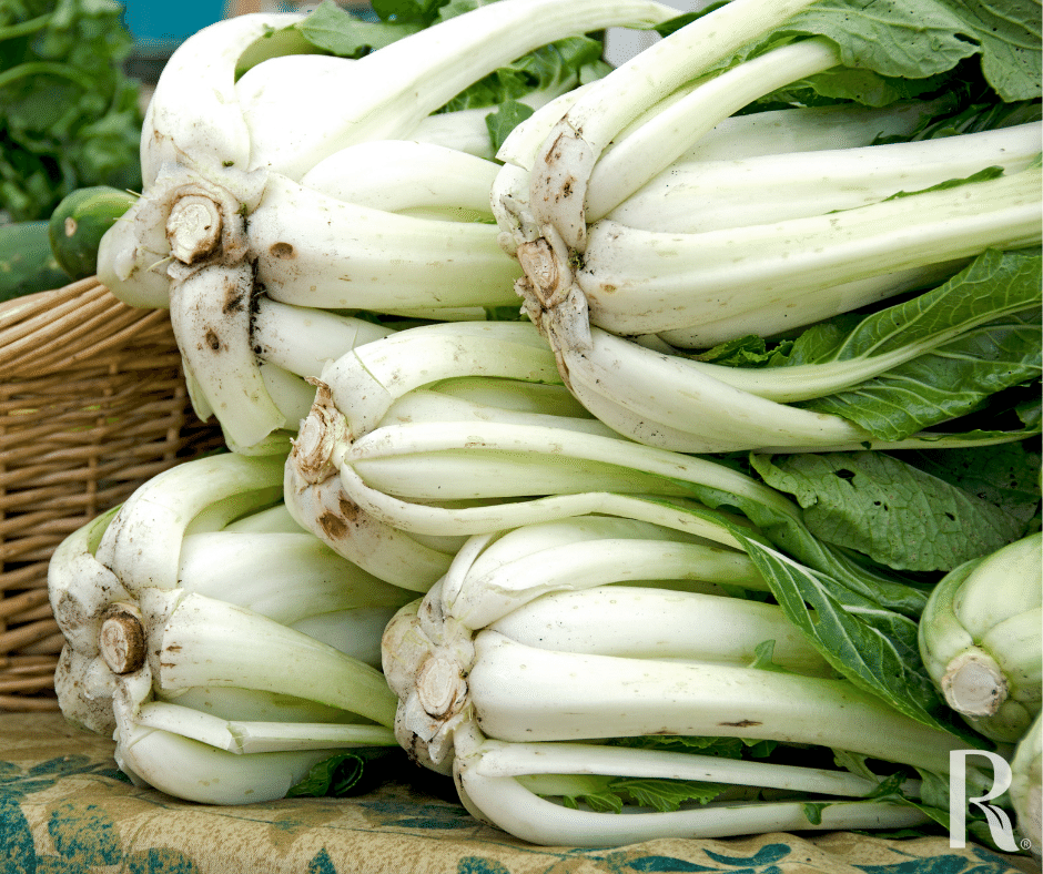 Freshly Harvested Asian Greens