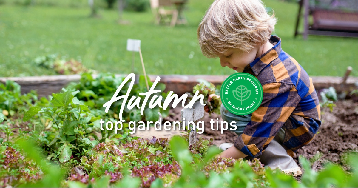 Autumn Top Gardening Tips