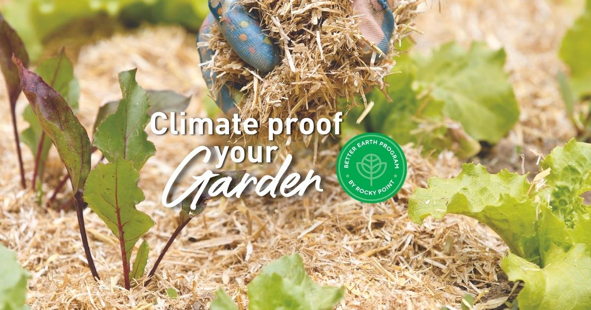 Climate proof  your garden