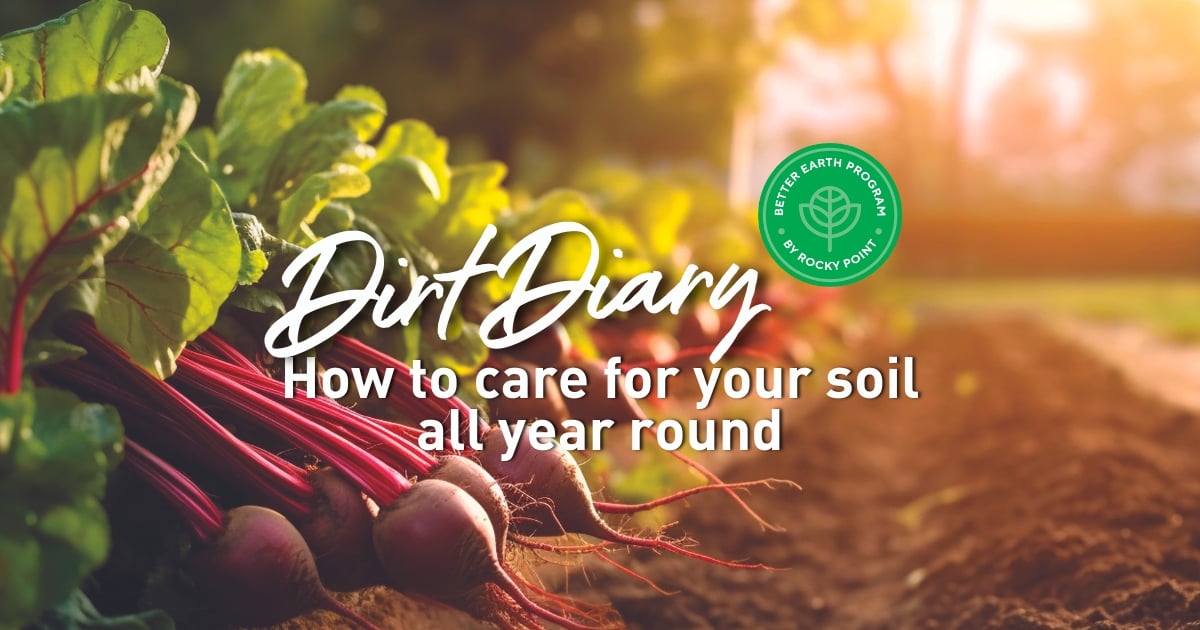 How to care for your soil all year round
