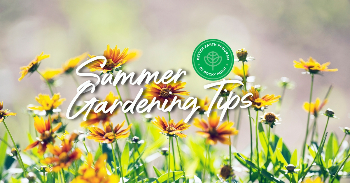 Summer gardening tips