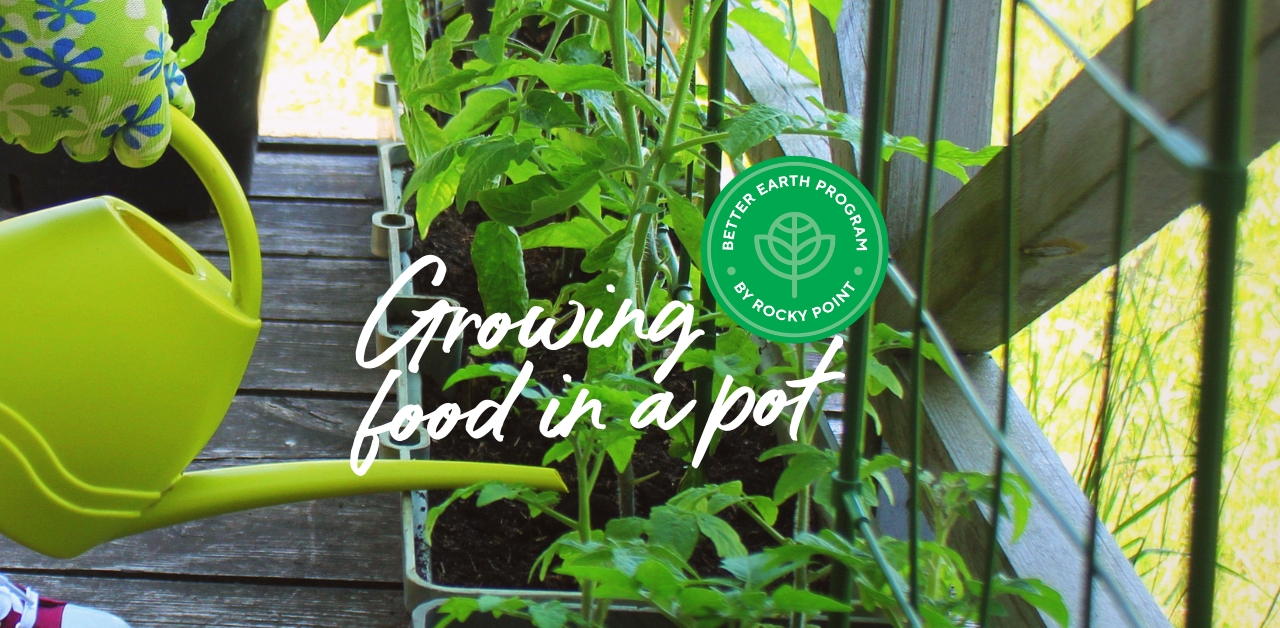 Growing food in a pot