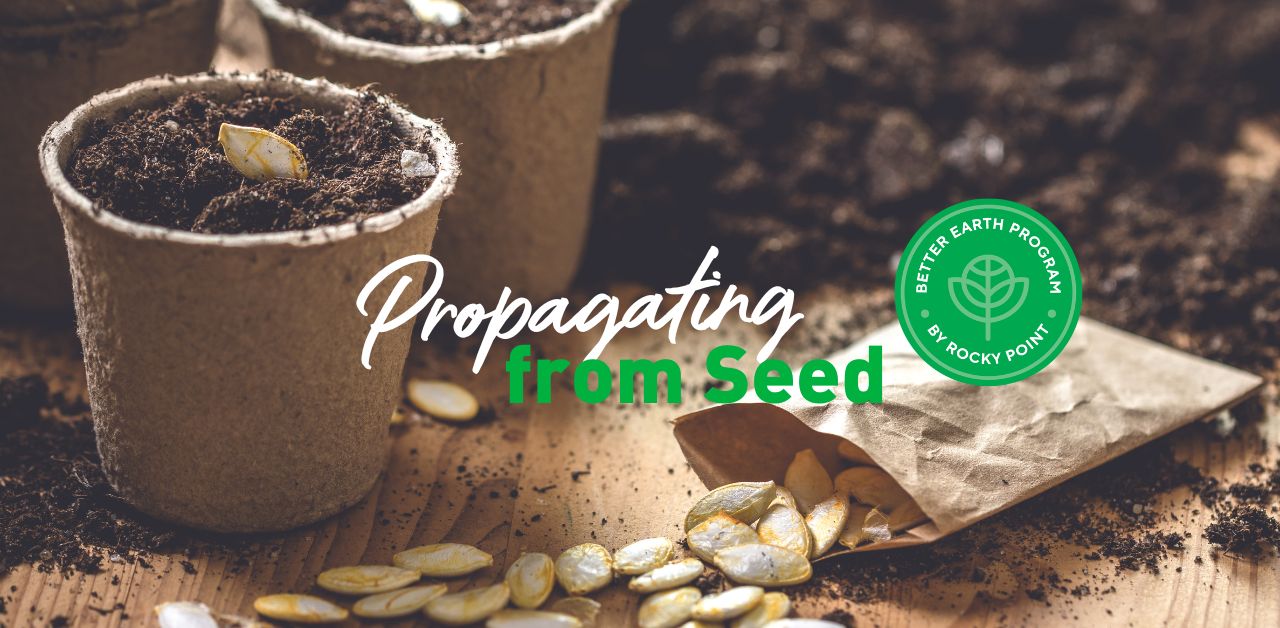 Propagating from seed