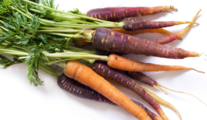 Colourful bunch of carrots