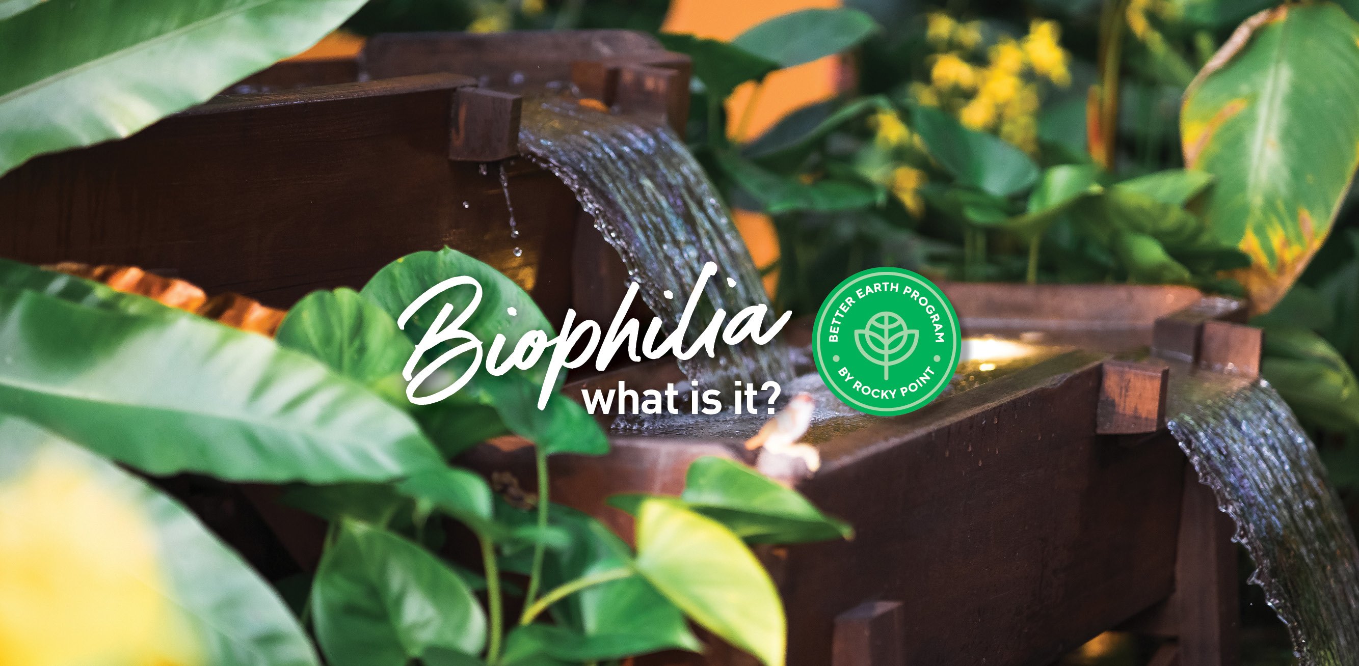 Biophilia - what is it?